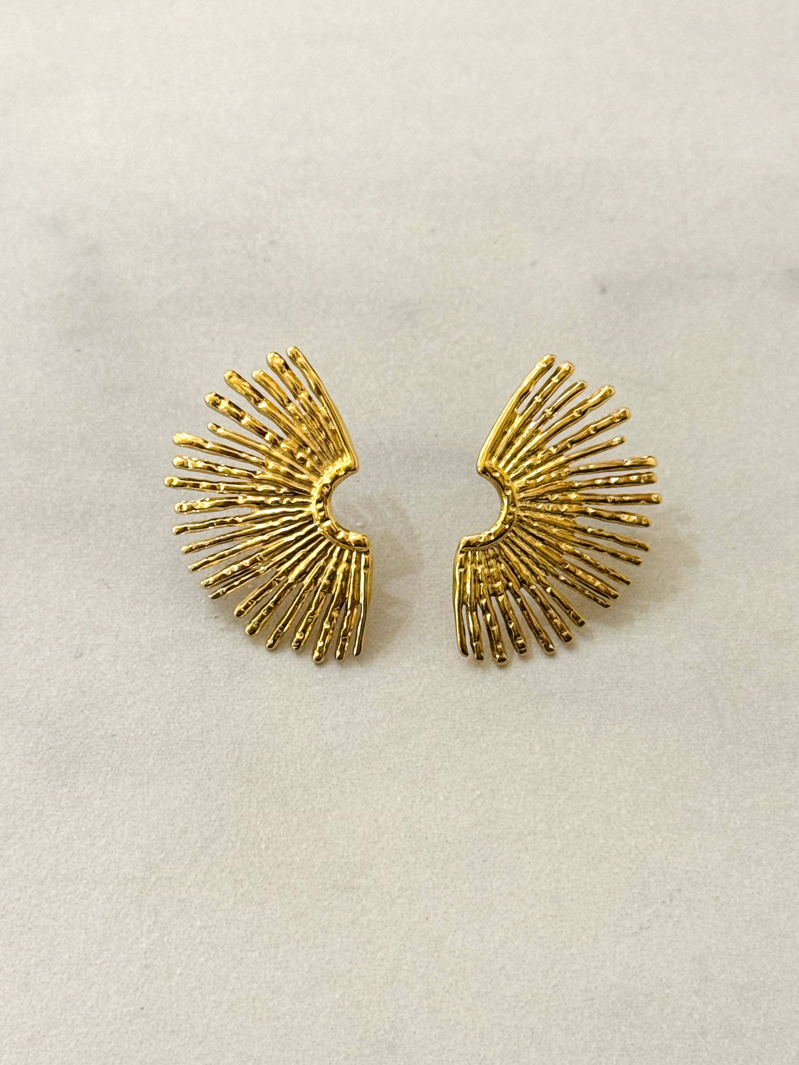 Brincos Laudi em aço inoxidável